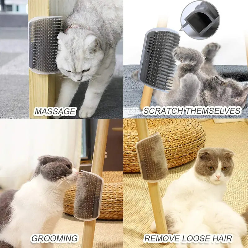 Chats utilisant la brosse fixée sur un angle