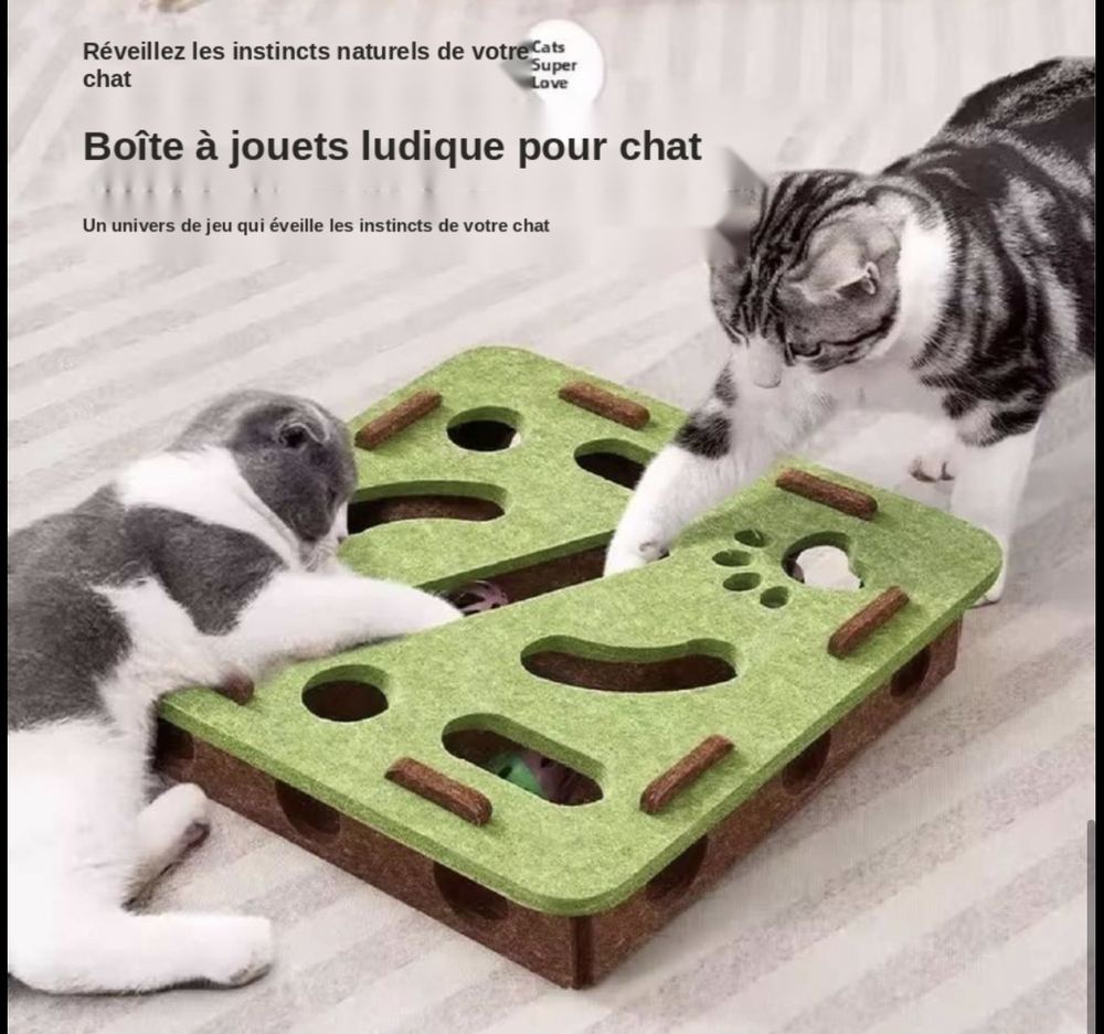 Boîte à jouets ludique pour chat