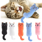Chaton qui joue avec le jouet bleu, et les 5 coloris du jouet à l’herbe à chat