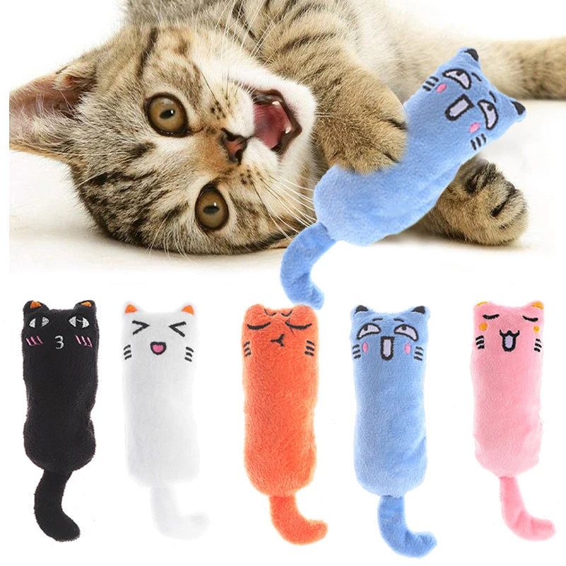 Chaton qui joue avec le jouet bleu, et les 5 coloris du jouet à l’herbe à chat