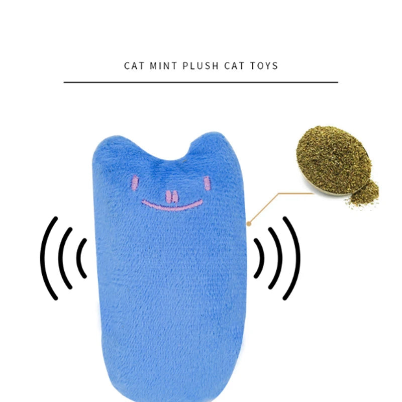 Garni d’herbe à chat, il fait du bruit quand votre chat joue avec
