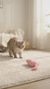 Chat qui joue avec le jouet à l’herbe à chat